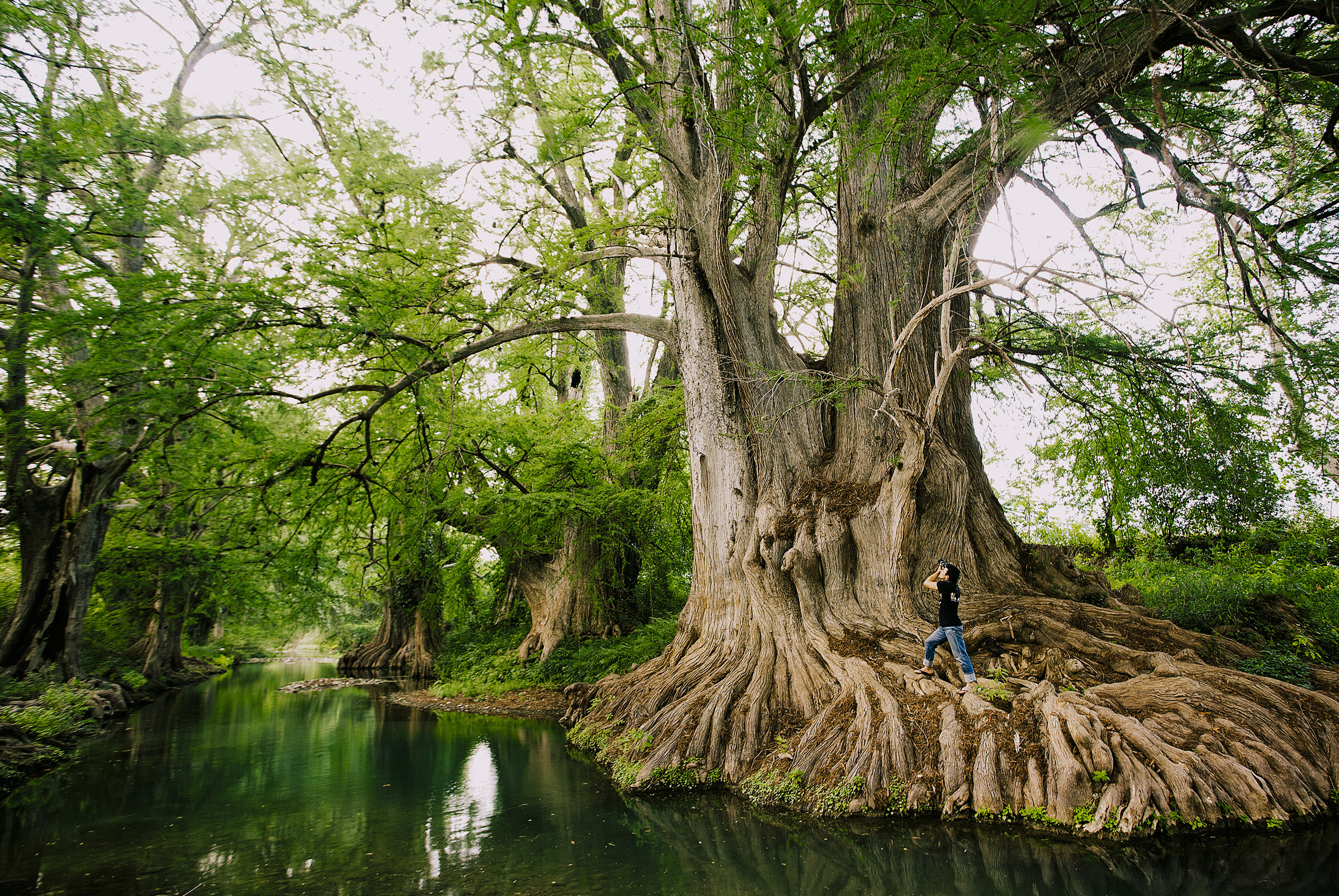 El sereno Pueblo Mágico perfecto para el ecoturismo que está a 3 horas de Querétaro