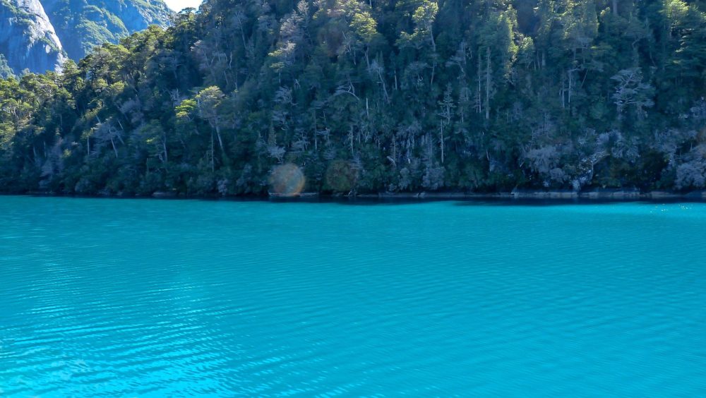 nahuel-huapi-3674822_1920-1000x564 - La preciosa cascada en la Patagonia argentina que debes conocer sí o sí