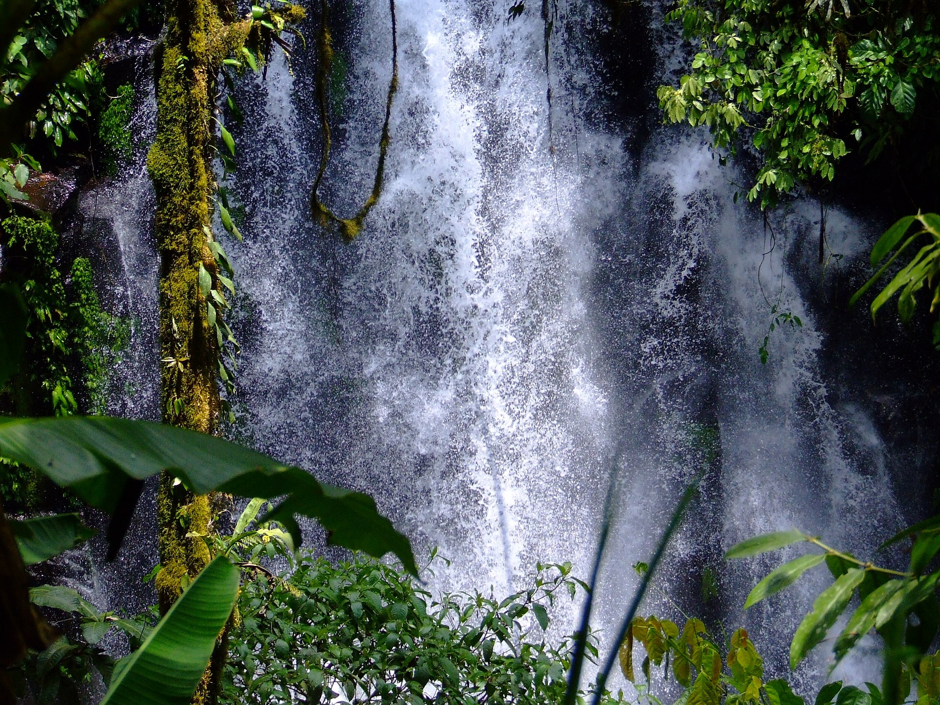 La preciosa selva de Chiapas con una sorprendente cascada que es perfecta para hacer ecoturismo