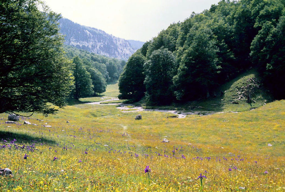 Anso2-LBM1948-en-Wikimedia-Commons-1000x674 - Es uno de los pueblos más bonitos de España, limita con Francia y tiene paisajes alucinantes