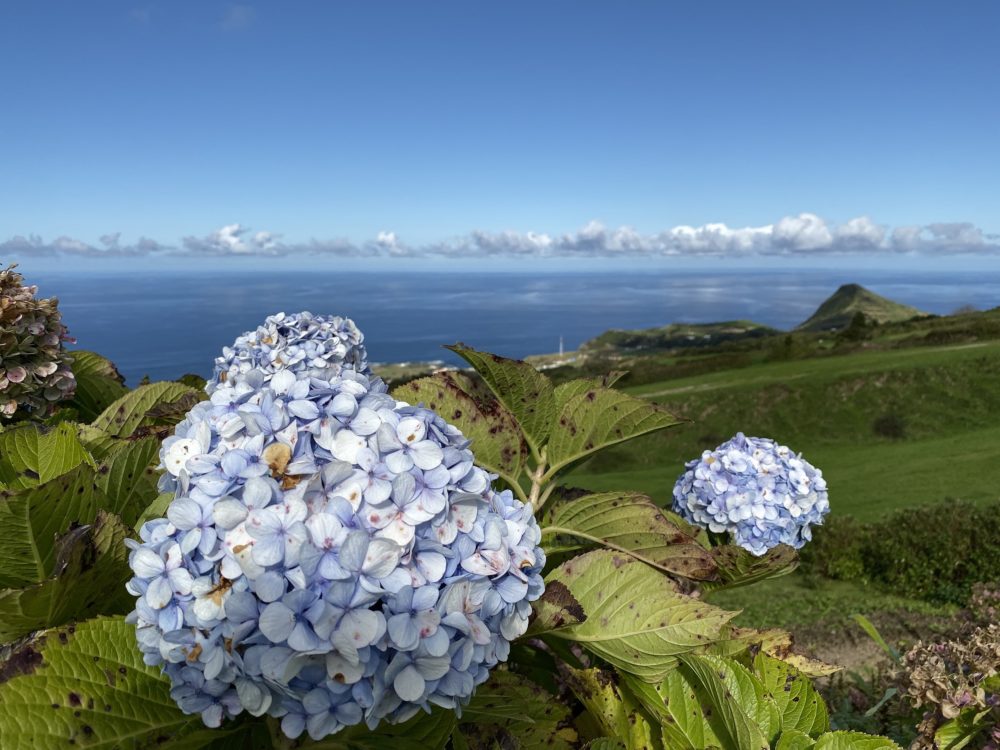 Azores_San_Miguel_wikimedia_commons_Sharon-Hahn-Darlin-1-1000x750 - Las 4 islas de Azores que son un paraíso oculto de Portugal