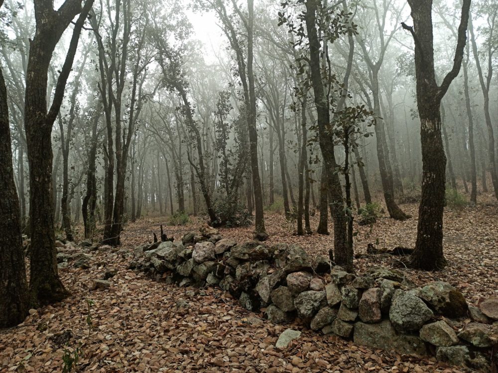 Guanaguato_wikimedia_commons_Juan_Carlos_-Fonseca_-Mata-1000x750 - La ciudad mexicana que es Patrimonio cultural de la humanidad y es ideal para visitar en Semana Santa