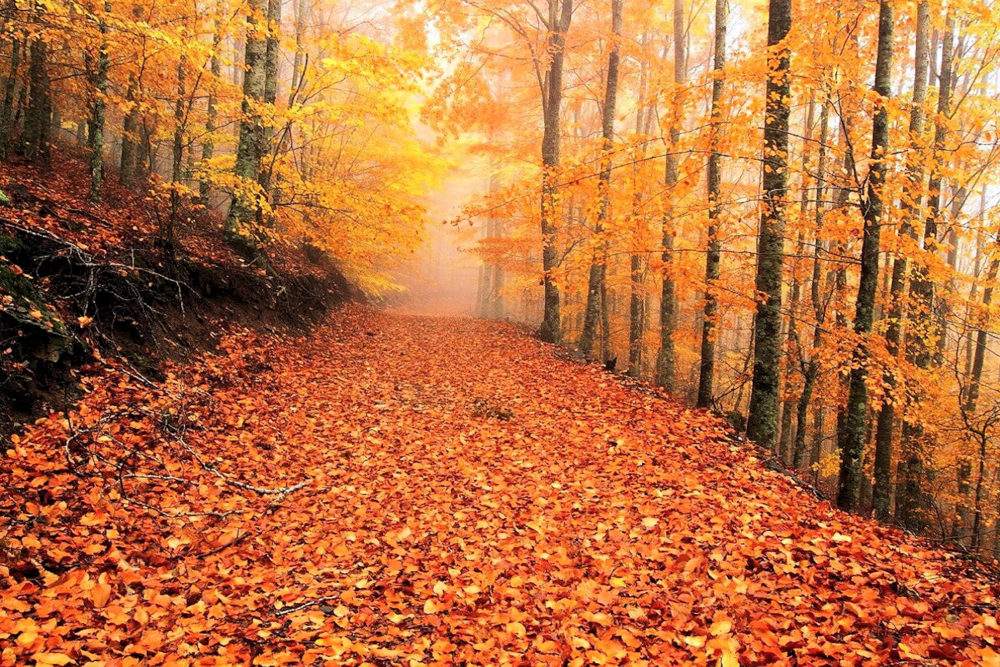 El alucinante pueblo de montaña de Portugal elogiado por la Organización Mundial del Turismo que está a dos horas de Salamanca