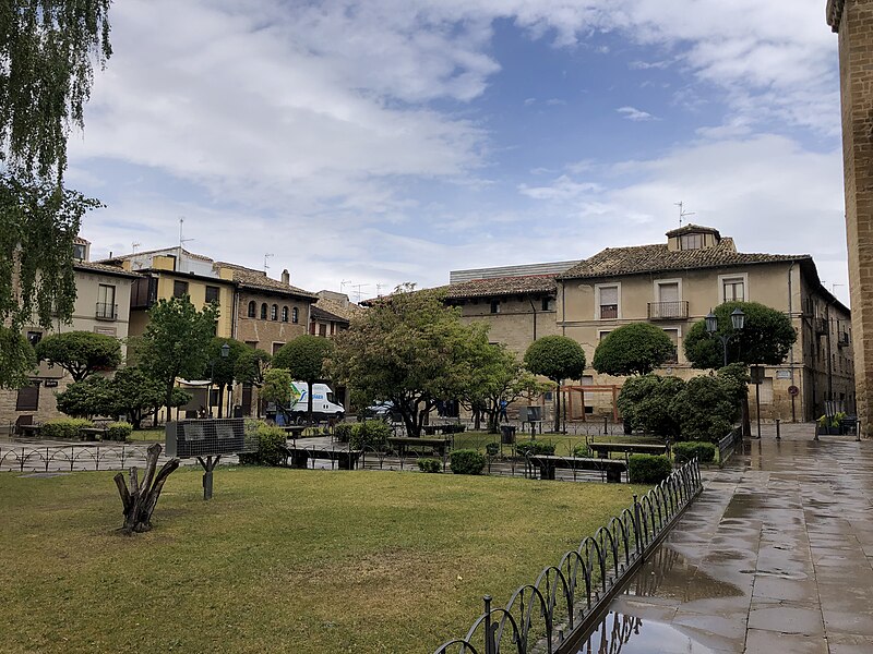 Olite_Navarra - El pueblo a 1 hora de Logroño con el castillo medieval más hermoso de España