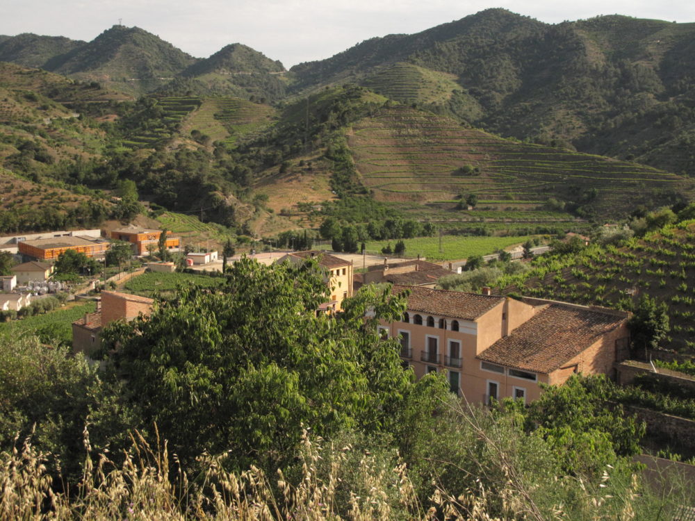 Porrera_vinedos-1000x750 - El hermoso pueblo de Tarragona que está entre las montañas y es ideal para una experiencia enológica