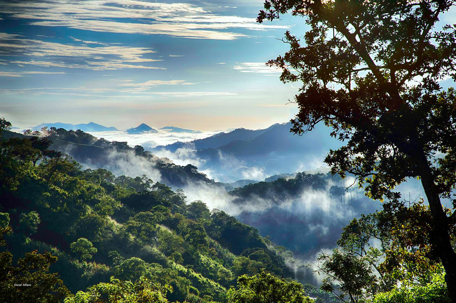 Vive Chiapas, el destino para unir el espíritu con la naturaleza