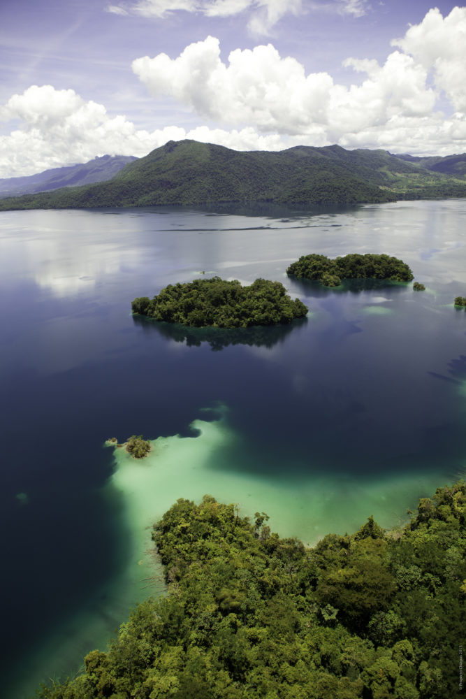 Reserva-de-la-Biosfera-Montes-Azules-Laguna-Miramar-667x1000 - Vive Chiapas, el destino para unir el espíritu con la naturaleza