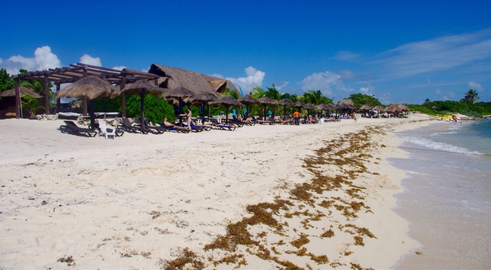 Riviera_Maya_wikimedia_commons_Alfonzo-Buscemi-1000x551 - Cuál es la mejor época para viajar a la Riviera maya