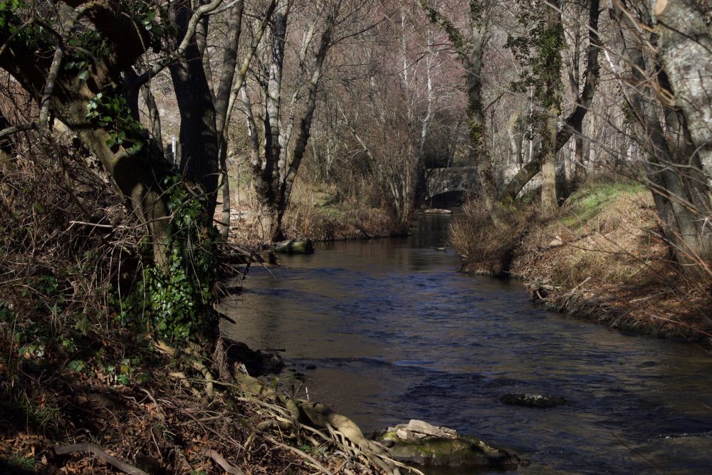Sepulveda_Wikimedia_Commons_El_-fosilmaniaco-1000x667 - Este tranquilo pueblo tiene un gran castillo, unas aguas termales con hermosos paisajes y está a 90 minutos de Madrid