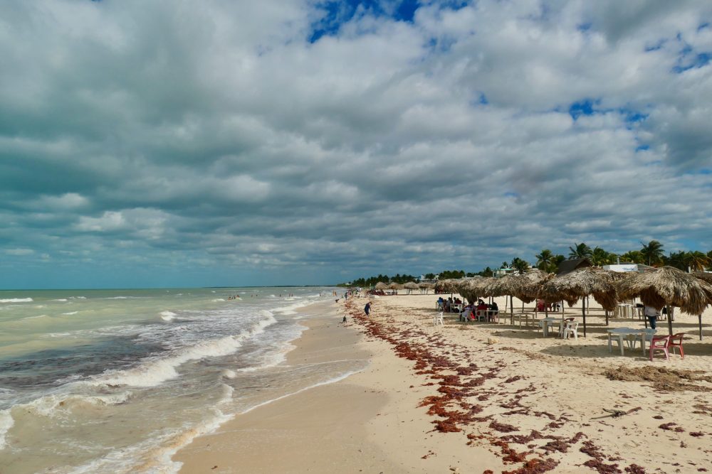 El hermoso Pueblo Mágico a 1 hora de Mérida con playas de aguas turquesas, flamencos rosas y rica comida de mar