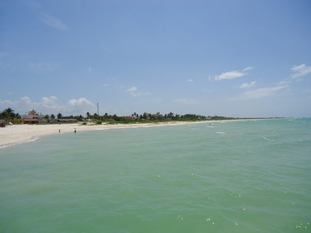 Sisal_Wikimedia_Commons_Misael-Lavadores-1000x750 - El hermoso Pueblo Mágico a 1 hora de Mérida con playas de aguas turquesas, flamencos rosas y rica comida de mar