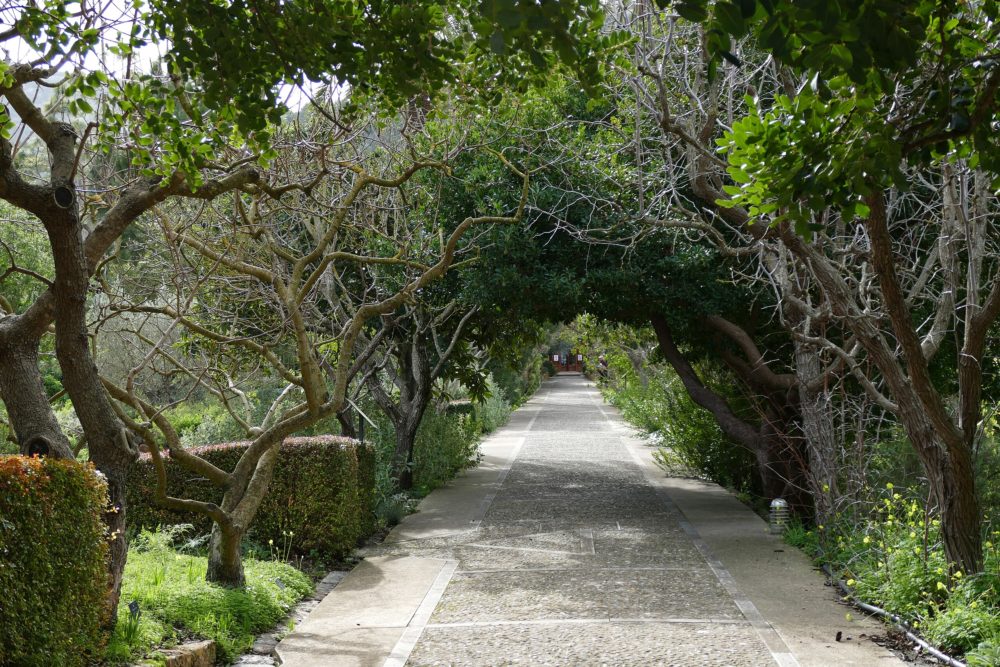 Soller-Kritzolina-en-Wikimedia-Commons-1000x667 - Es una gema oculta en Mallorca, tiene playas preciosas y es un pueblo perfecto para el ecoturismo