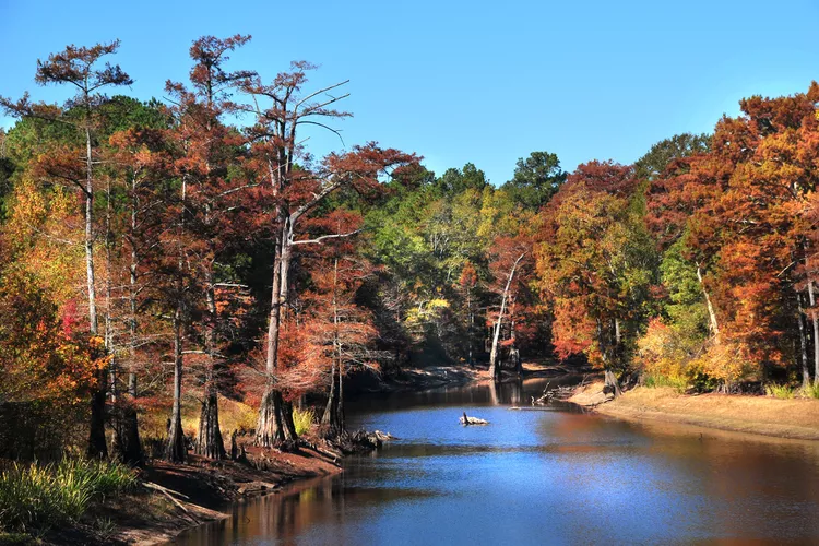 TAL-bayou-dorcheat-MINDENLA0224-8c075316bbe14a19bd8a3f50770371ae - El pueblo más amigable del sur de Estados Unidos: hermosos lagos y tiendas de antigüedades