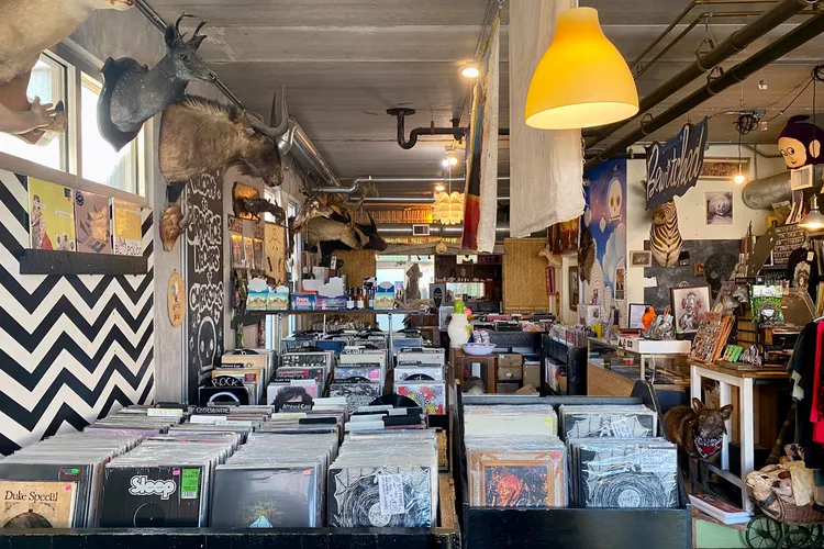 TAL-graveface-records-SAVANNAHSTARLAND0324-a267b2978f264ab0867c2820f5c5f823 - Este vecindario en Savannah se ha convertido en un centro para jóvenes creativos, con boutiques originales y bares geniales