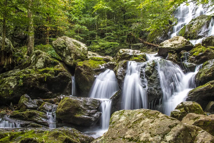Los mejores 15 lugares para visitar Virginia, según los locales