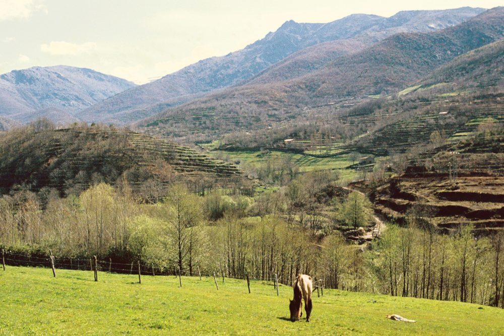 3 pintorescos pueblos del Valle del Jerte para hacer una escapada romántica