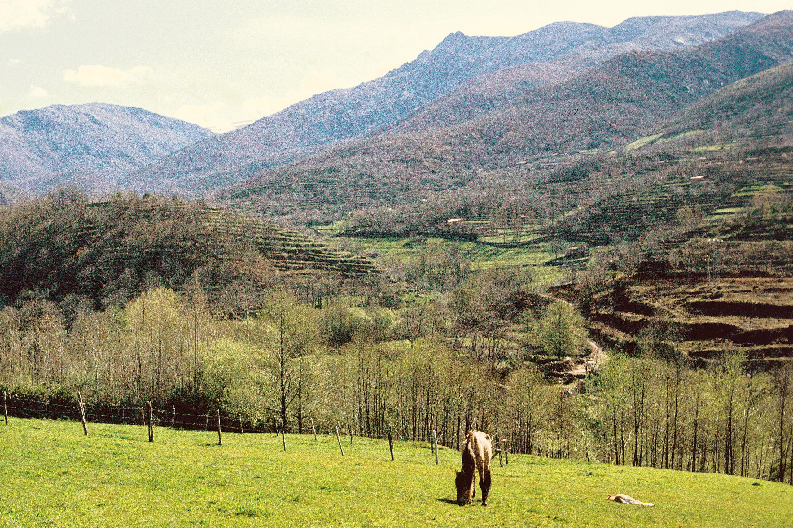 3 pintorescos pueblos del Valle del Jerte para hacer una escapada romántica