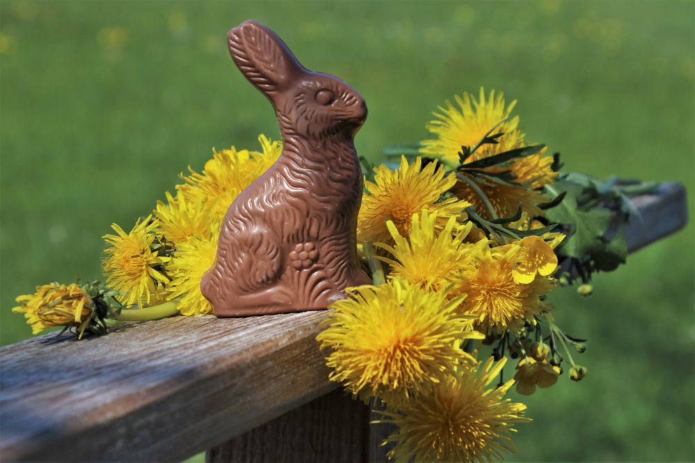 chocolate-pixabay-1000x667 - Semana Santa 2024 en Argentina: los mejores destinos de Bariloche para visitar
