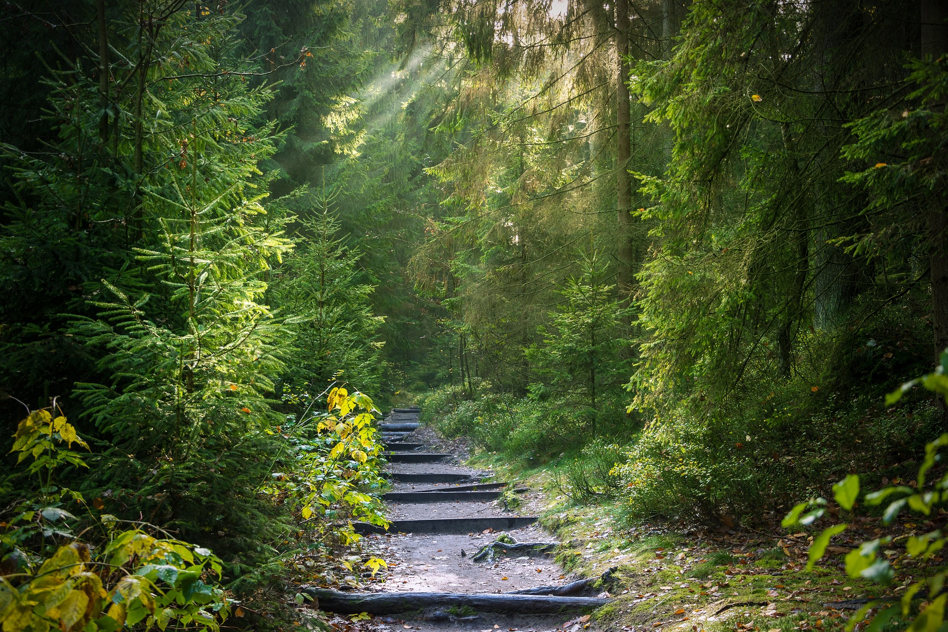 El Pueblo Mágico con hermosos paisajes y muchos bosques que es ideal para comprar muebles bonitos para tu hogar