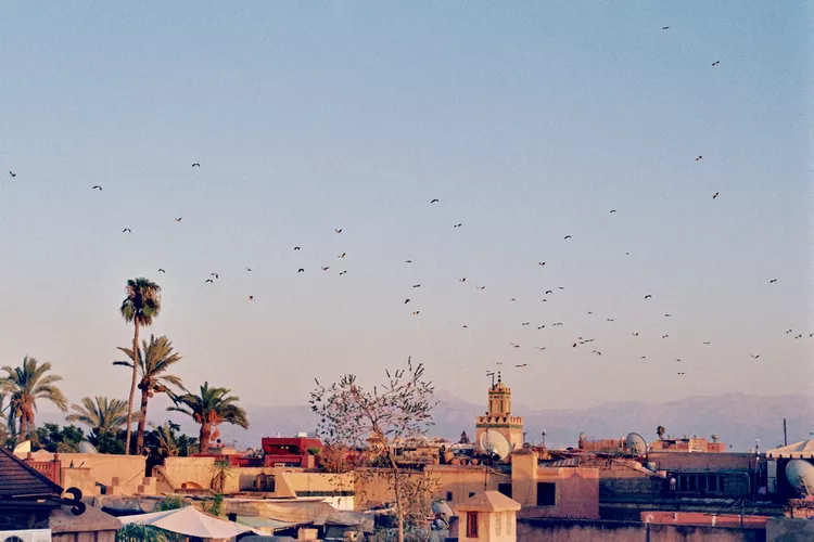 image-25 - Este riad recién restaurado en Marrakech es uno de los más chic para alojarse