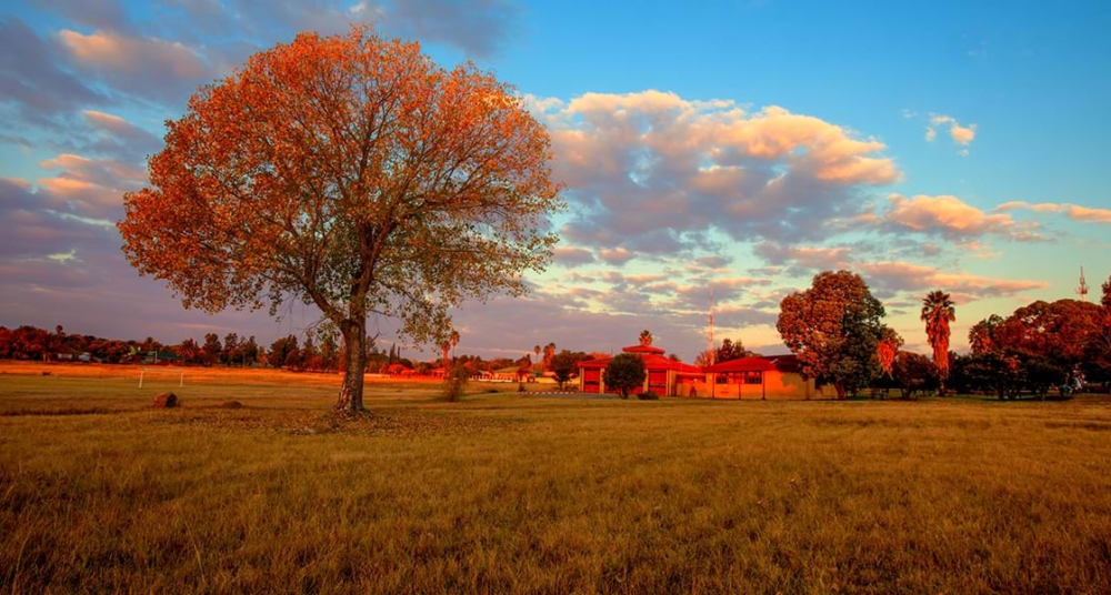 image-4-1000x536 - JJOO 2024: París será una fiesta, pero nosotros te invitamos a otras