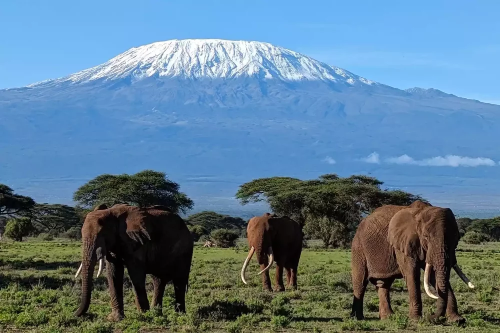 mount-kilimanjaro-1000x667 - Esta impresionante costa acaba de ser nombrada el hito natural más "inolvidable" de los Estados Unidos
