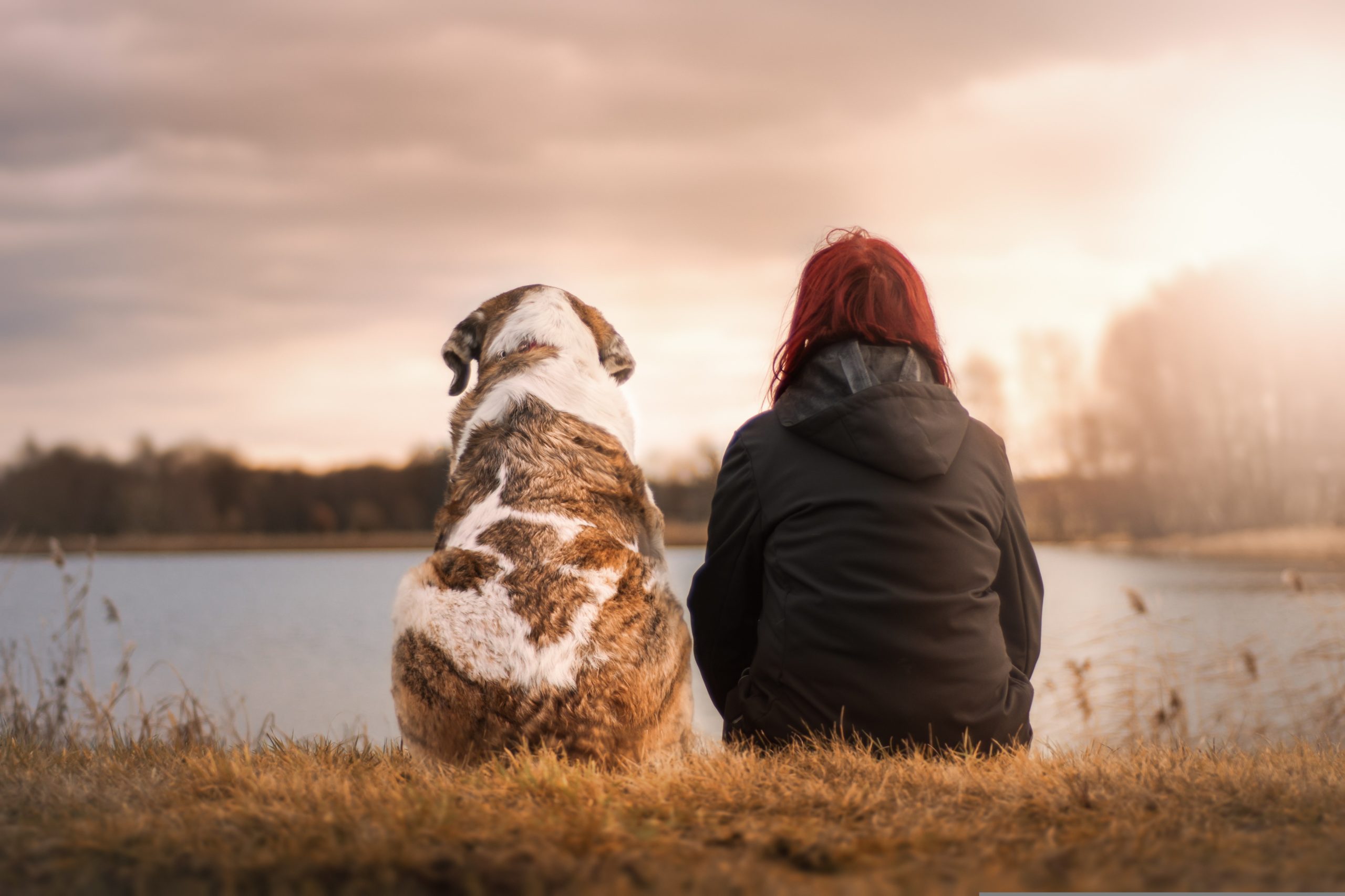 Este acogedor pueblo de Vizcaya es famoso por tener casi más perros que habitantes Este acogedor pueblo de Vizcaya es famoso por tener casi más perros que habitantes