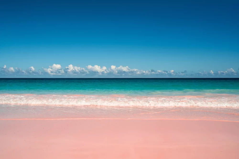 playa-rosa-1000x667 - Taylor Swift y Travis Kelce acaban de pasar sus vacaciones en este destino de las Bahamas que ha pasado desapercibido, ¡y tenemos los consejos de un lugareño sobre dónde ir!