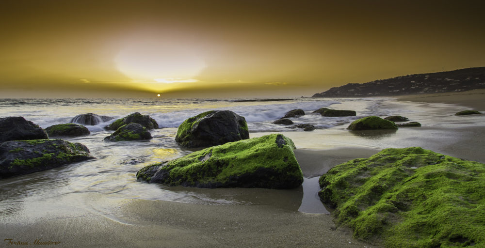 Es un tranquilo pueblo a 1 hora de Cádiz, tiene playas serenas y deliciosa gastronomía