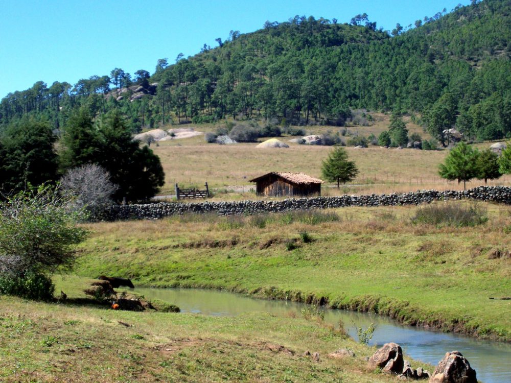 tapalpa-Armando-Sosa-en-Wikimedia-Commons-1000x750 - El Pueblo Mágico con hermosos paisajes y muchos bosques que es ideal para comprar muebles bonitos para tu hogar