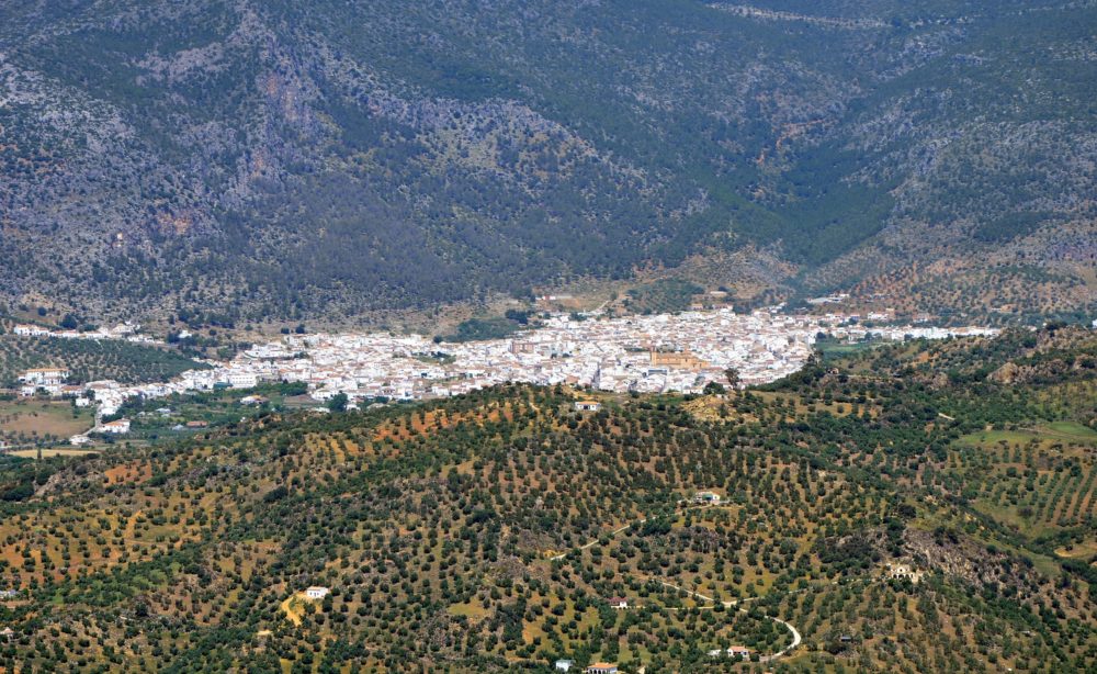 Algodonales_wikimedia_commons_Gzzz-1000x614 - Cuáles son los pueblos blancos de Cádiz