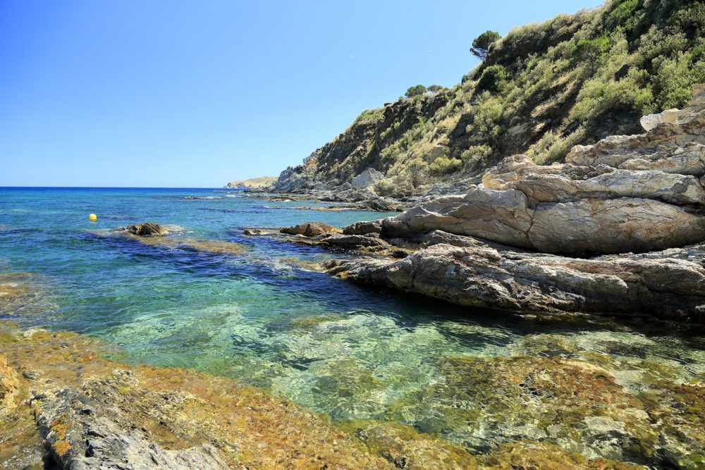 Banyuls_sur_mer_wikimedia_commons_Falk2-1000x667 - El espectacular pueblo costero francés a media hora de España con playas alucinantes y bonitas calles para recorrer