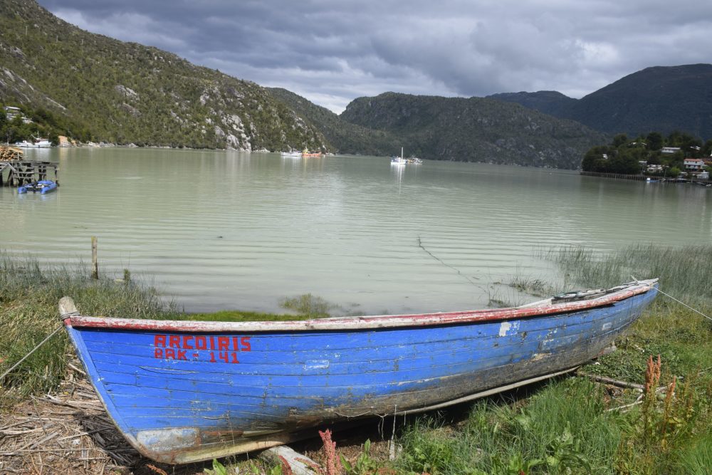 Caleta_Tortel_wikimedia_commons_Florencia-Giussani-1000x667 - Este pueblo de Chile fue elegido por la Organización Mundial del Turismo como uno de los más hermosos del mundo