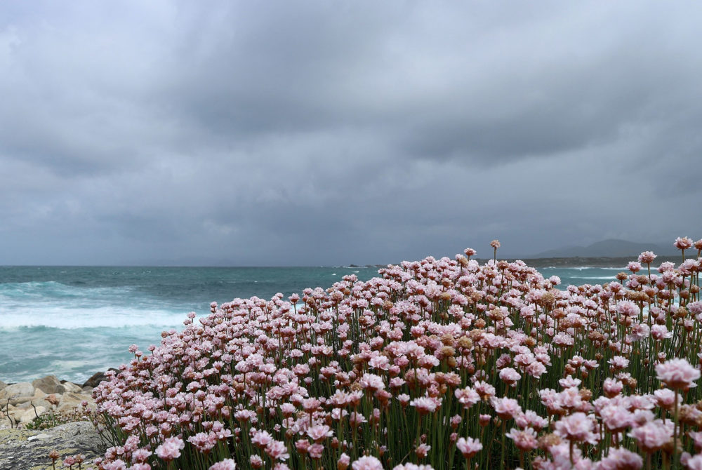 El tranquilo pueblo marinero a 1 hora de Pontevedra alejado de todo que es ideal para relajarse