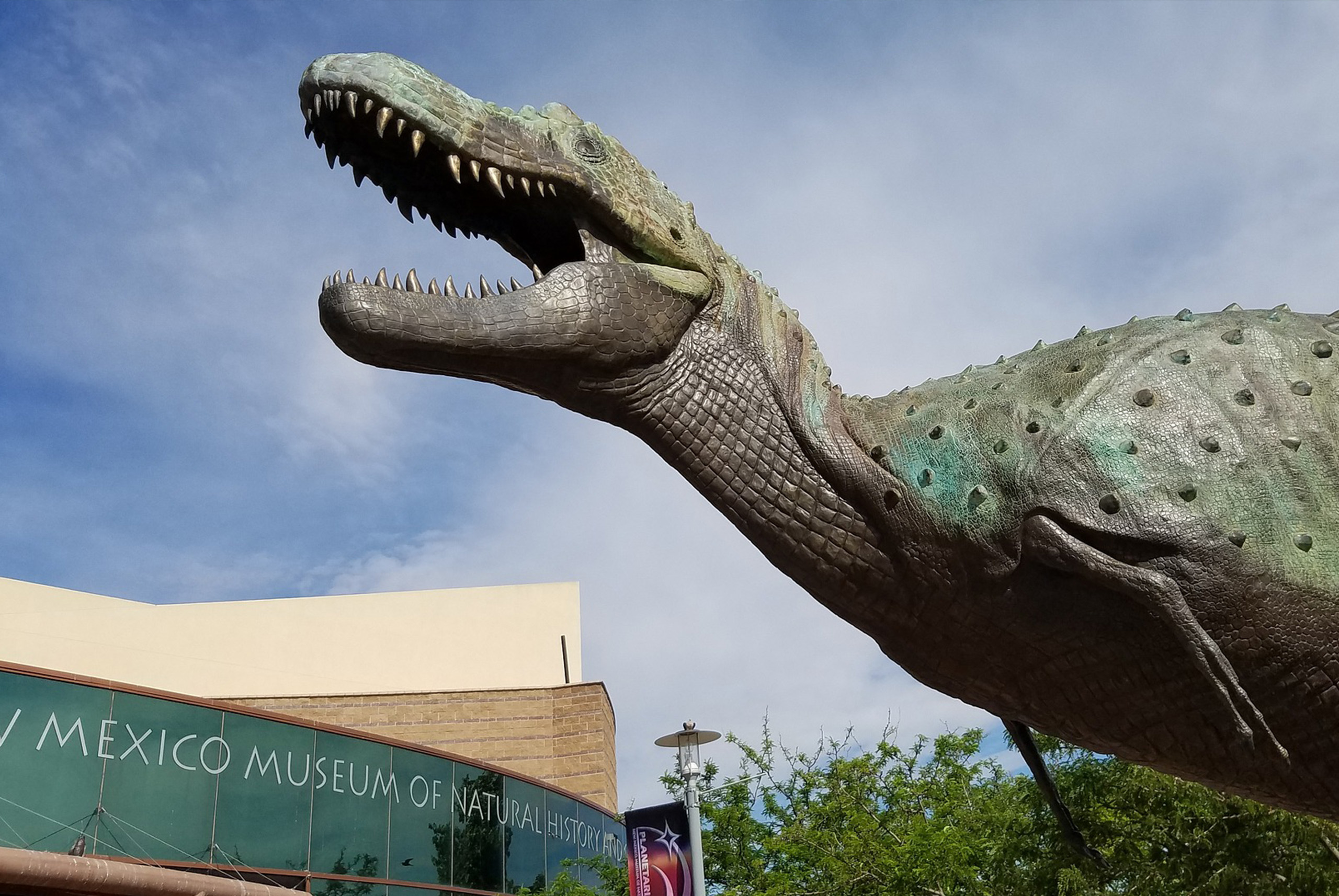 Todos los estados para recorrer en la Ruta de los Dinosaurios: qué hacer y ver en el Jurassic Park de México