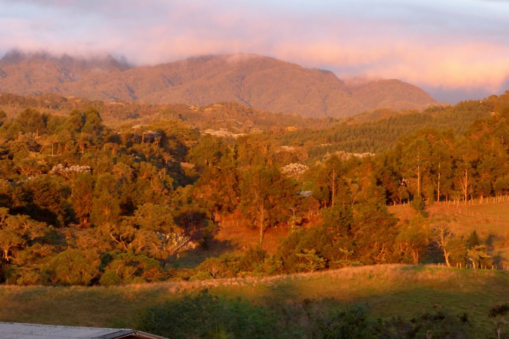 Filandia_wikimedia_commons_Alejandro-Bayer-Tamayo-5-1000x667 - Ruta del Café en Colombia: qué hacer desde Filandia hasta Armenia y qué cafés se encuentran