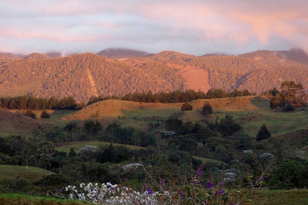 Filandia, el pueblo colombiano que combina delicioso café y parques naturales destacados por la Organización Mundial del Turismo