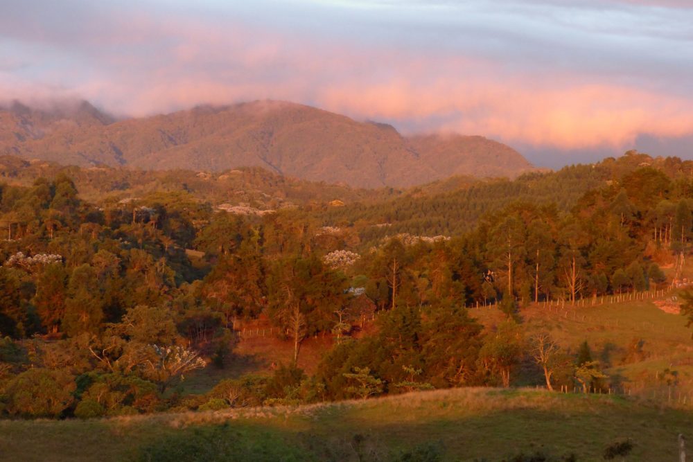 Filandia_wikimedia_commons_Alejandro-Bayer-Tamayo5-1000x667 - Filandia, el pueblo colombiano que combina delicioso café y parques naturales destacados por la Organización Mundial del Turismo