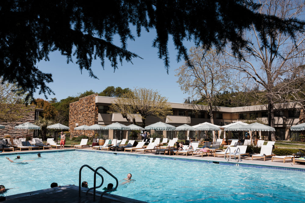 Flamingo-Sonoma-California.jpg-1000x667 - No te hablo de Sonora, te hablo de Sonoma, California