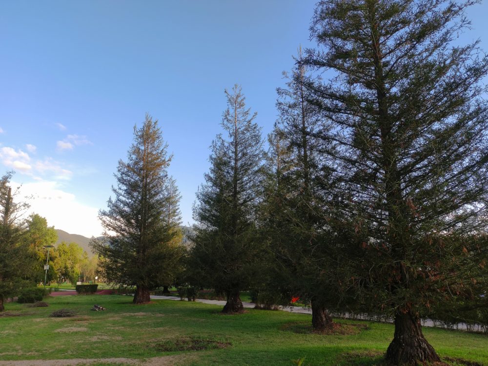 El Pueblo Mágico a 2 horas de la CDMX con tranquilos bosques perfectos para caminar y lindos paisajes