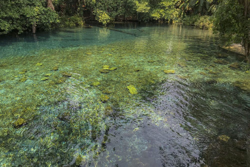 Las-Estacas-Mexic-1000x670 - 3 bonitos lugares cerca de la CDMX para conocer y pasar el día entre la naturaleza