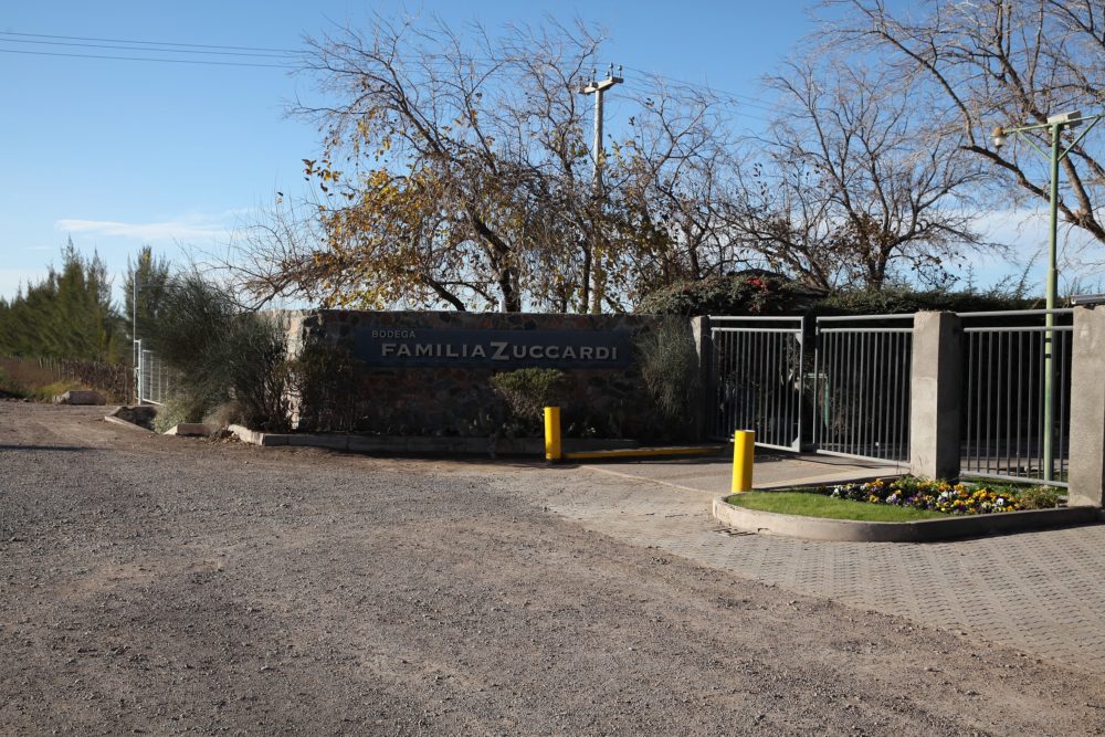 Maipu_wikimedia_commons_Gervacio-Rosales-1000x667 - Cuáles son las regiones de Mendoza con las mejores bodegas para descubrir el vino argentino
