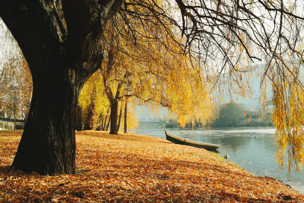 Malecon-Rio-Sil-1000x670 - Este pueblito escondido a 2 horas de León tiene exquisitos vinos y bonitos paisajes