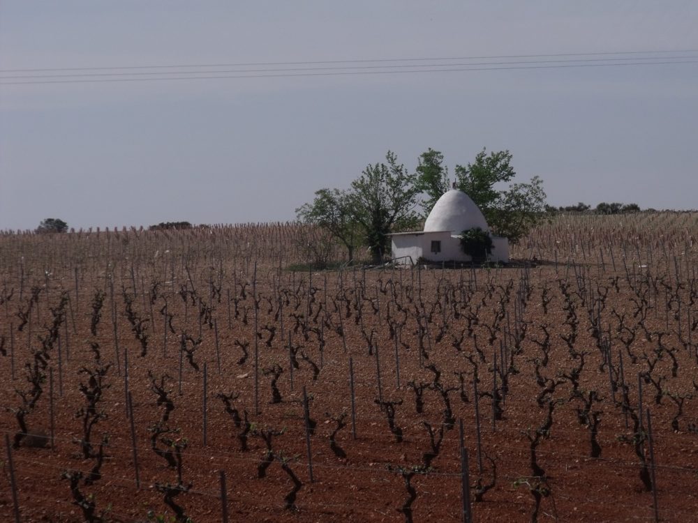 Manchuela_wikimedia_commons_19Tarrestnom65-1000x750 - La Ruta del Vino poco conocida de España que no es La Rioja y tiene lindas bodegas