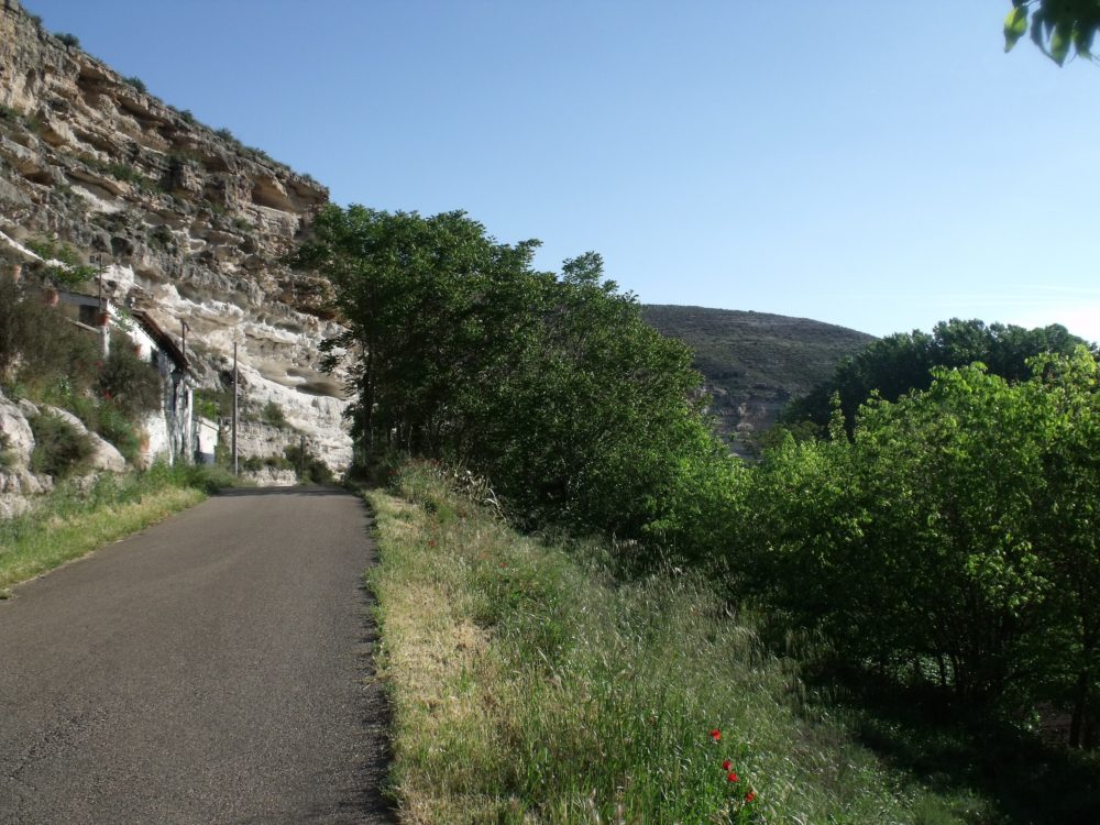 La Ruta del Vino poco conocida de España que no es La Rioja y tiene lindas bodegas