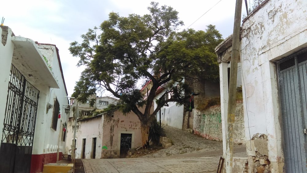 Metztitlan_wikimedia_commons_RubeHM-1000x563 - Los Pueblos Mágicos de Hidalgo para hacer una escapada de verano