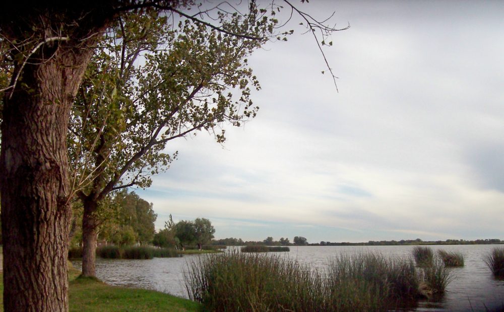 Navarro_wikimedia_commons_Roberto-Fiadone2-1000x620 - El pintoresco pueblo cerca de la Ciudad Autónoma de Buenos Aires para pasar el día con una linda laguna