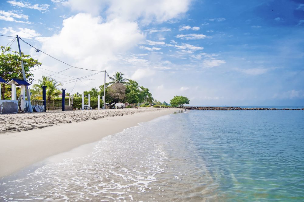 Palo_Blanco-Tolu_wikimedia_commons_Williamzarza-1000x664 - Cuáles son las playas de Colombia Bandera Azul que recomiendan visitar