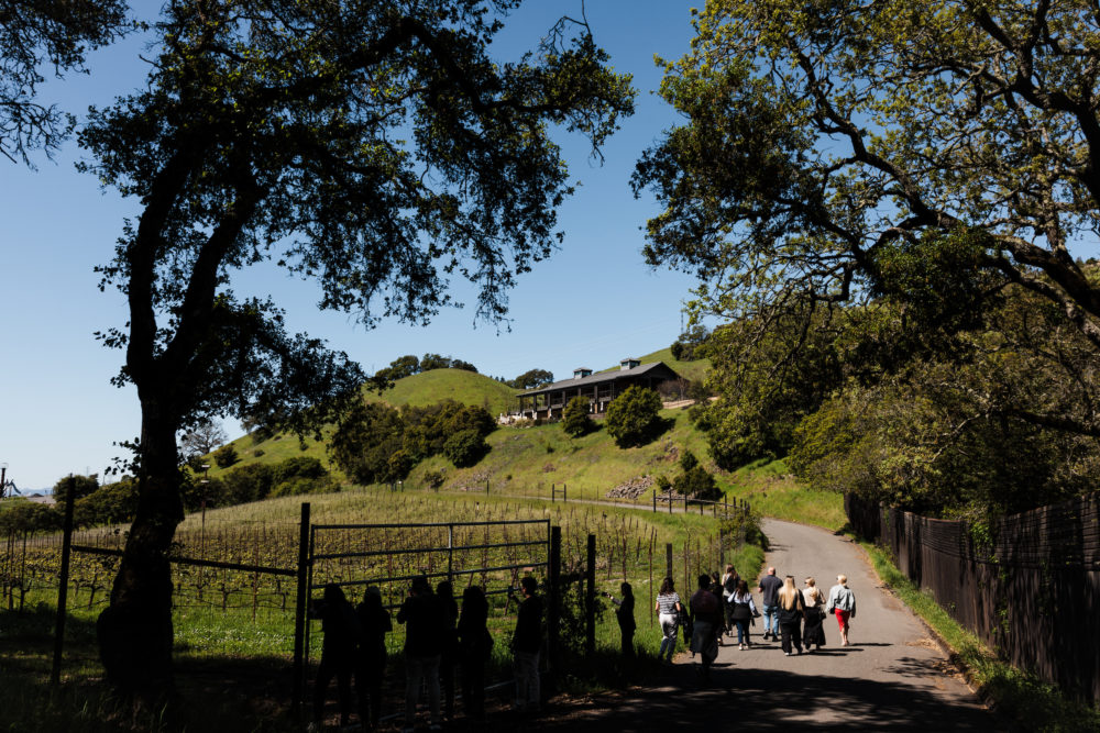 Paradise-Ridge-Sonoma-California.jpg-1000x667 - No te hablo de Sonora, te hablo de Sonoma, California