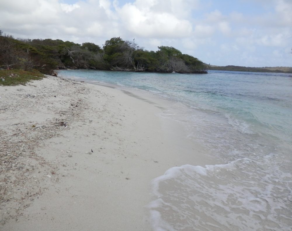 Playa_Azul_wikimedia_commons_Hireem-1000x792 - La preciosa playa tranquila a 8 horas de la CDMX perfecta para una escapada romántica